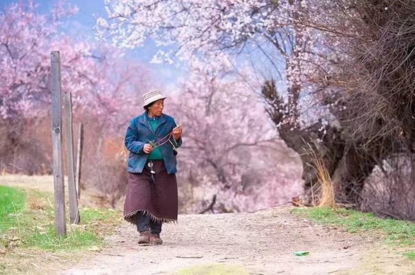 约伴一起去西藏，林芝，波密，雅鲁藏布江大峡谷，色季拉山，羊湖